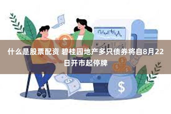 什么是股票配资 碧桂园地产多只债券将自8月22日开市起停牌
