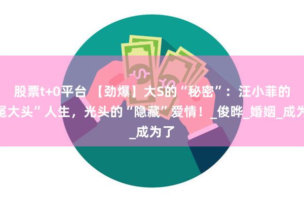 股票t+0平台 【劲爆】大S的“秘密”：汪小菲的“冤大头”人