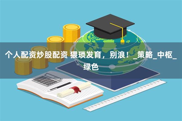 个人配资炒股配资 猥琐发育，别浪！_策略_中枢_绿色