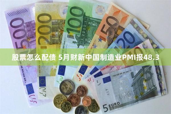 股票怎么配债 5月财新中国制造业PMI报48.3