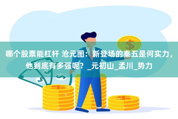 哪个股票能杠杆 沧元图：新登场的秦五是何实力，他到底有多强呢