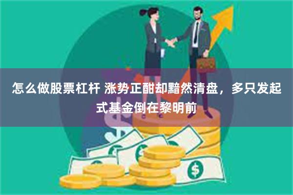 怎么做股票杠杆 涨势正酣却黯然清盘，多只发起式基金倒在黎明前